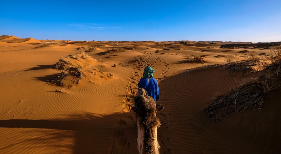 excursion-bivouac-zagora-maroc